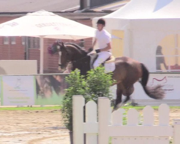 Reitturnier Datteln 2015