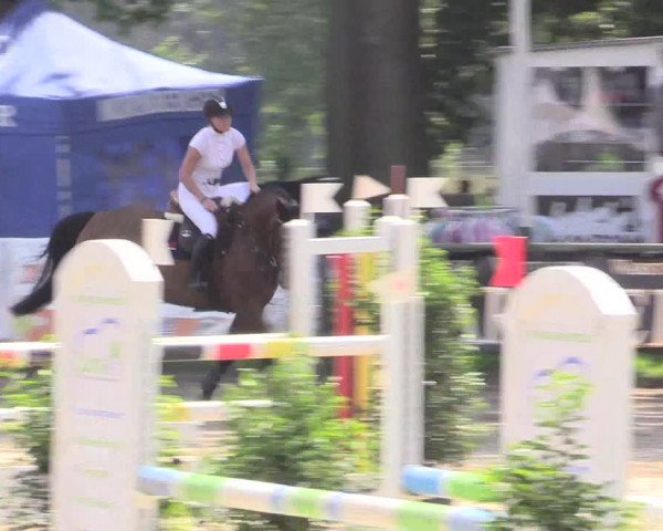 Reitturnier Datteln 2015