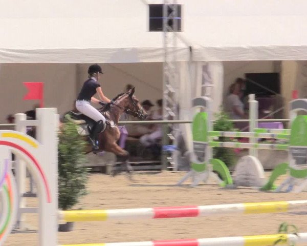 Reitturnier Datteln 2015
