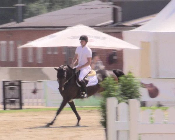 Reitturnier Datteln 2015