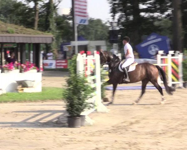 Reitturnier Datteln 2015