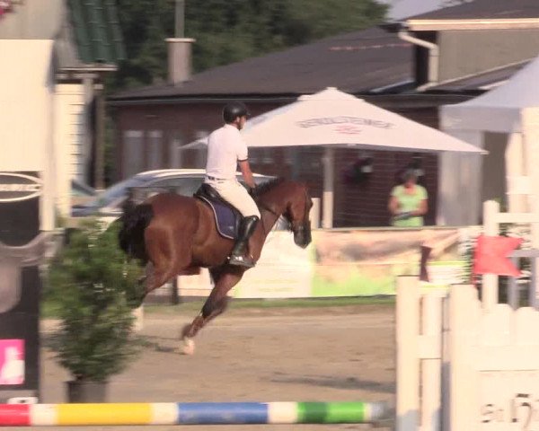 Reitturnier Datteln 2015