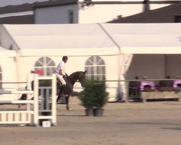 Reitturnier Datteln 2015