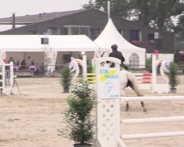 Reitturnier Datteln 2015