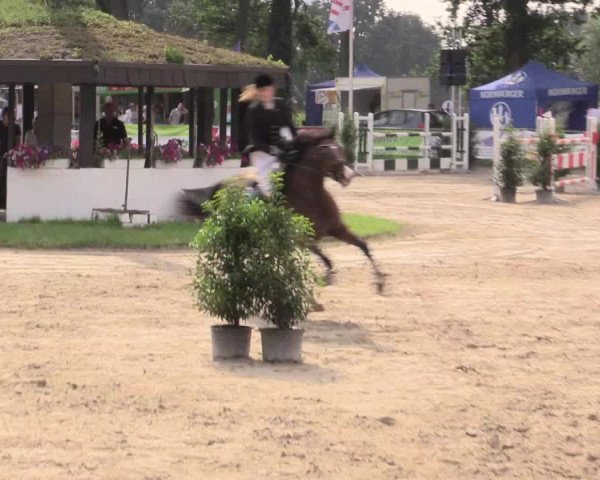 Reitturnier Datteln 2015