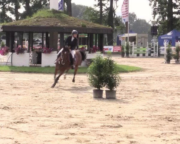Reitturnier Datteln 2015