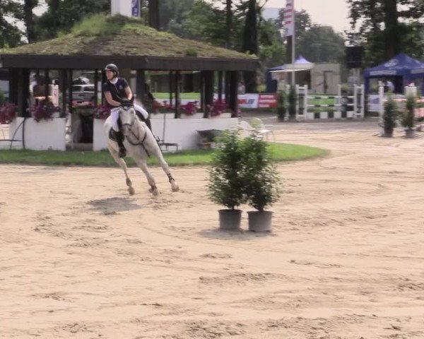 Reitturnier Datteln 2015
