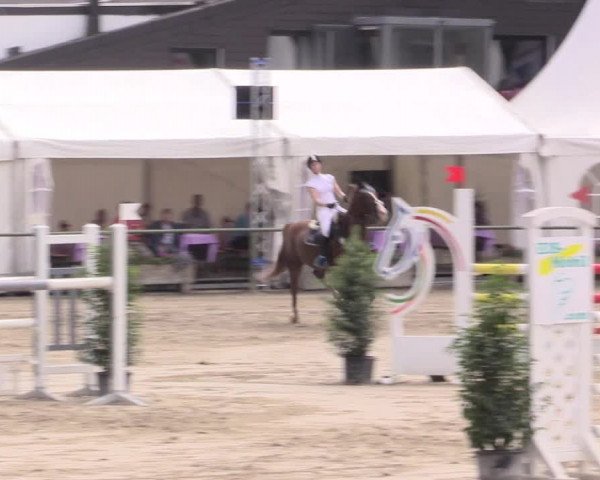 Reitturnier Datteln 2015