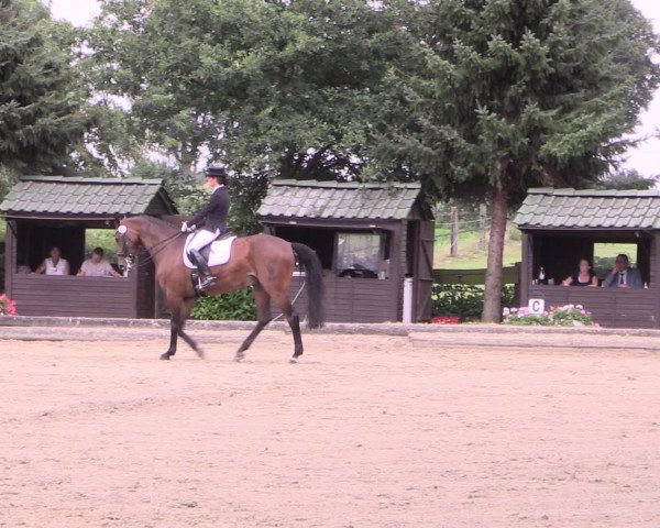 Reitturnier Datteln 2015