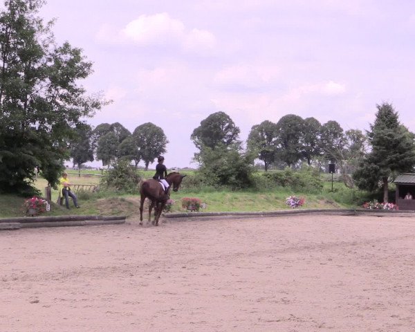 Reitturnier Datteln 2015