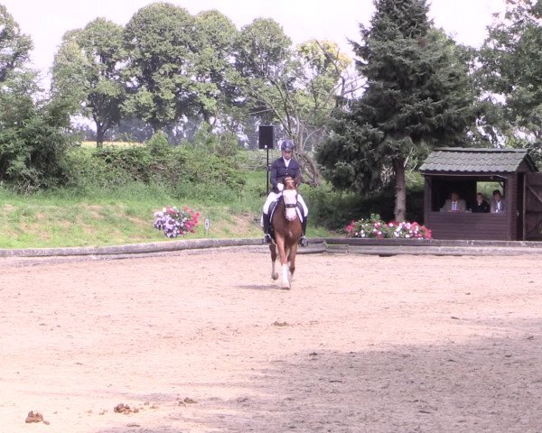Reitturnier Datteln 2015