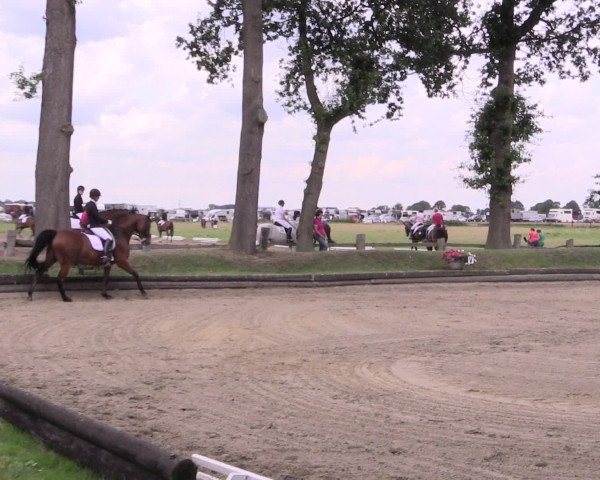 Reitturnier Datteln 2015