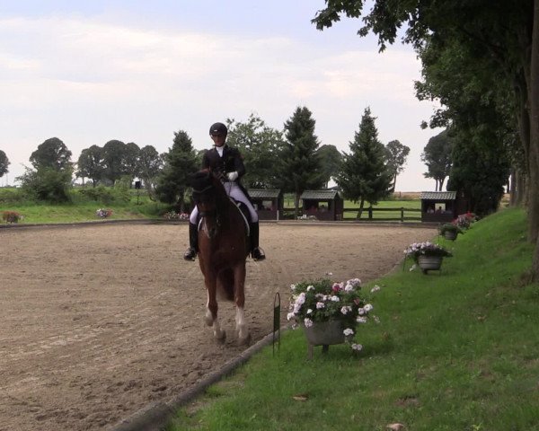 Reitturnier Datteln 2015