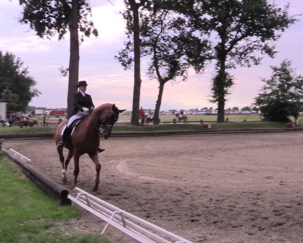 Reitturnier Datteln 2015