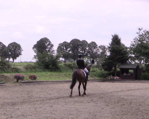 Reitturnier Datteln 2015