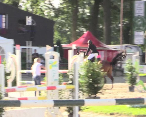 Reitturnier Datteln 2015
