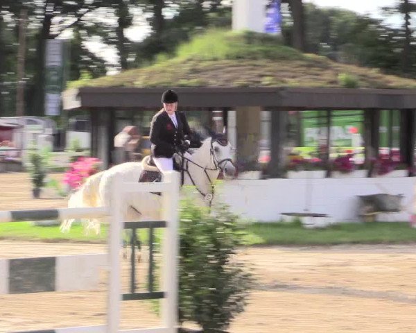 Reitturnier Datteln 2015