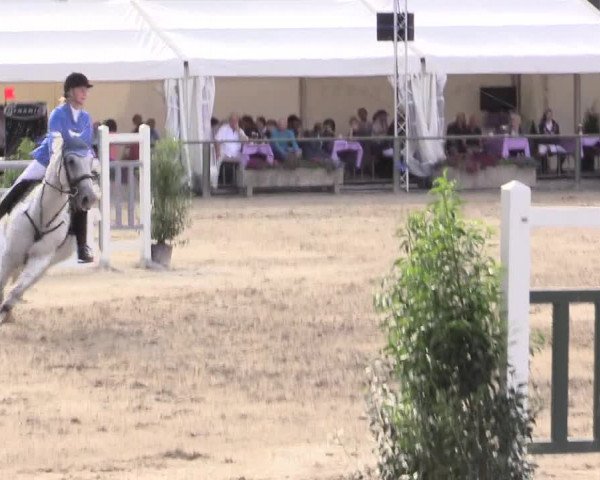Reitturnier Datteln 2015