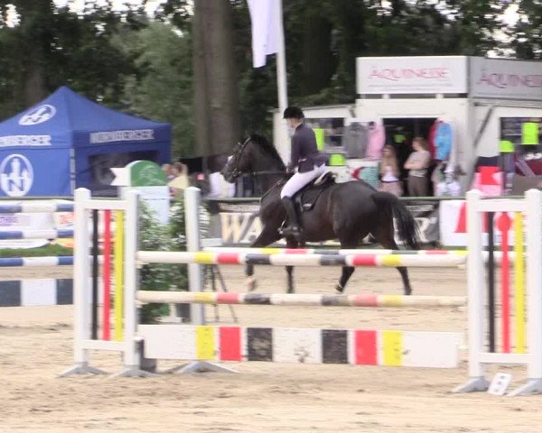 Reitturnier Datteln 2015