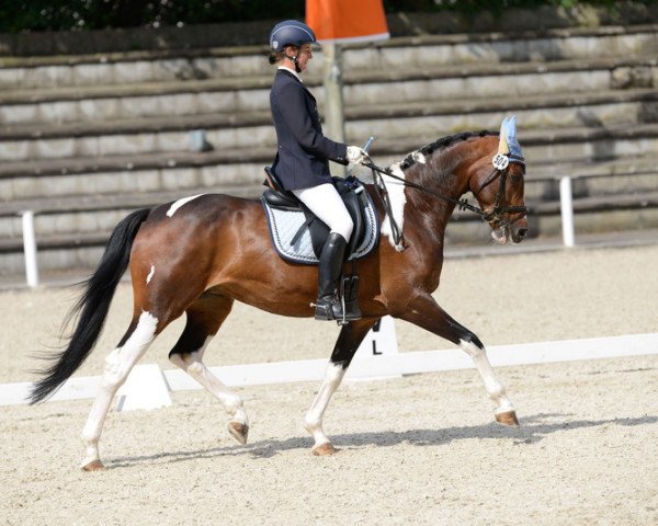 broodmare Schmusepuppe RW (Württemberger, 2010, from Sanyo)
