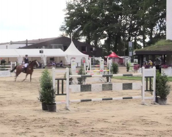 Reitturnier Datteln 2015