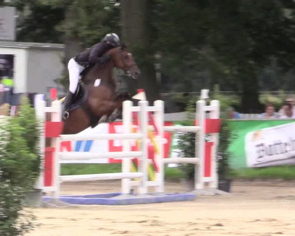 Reitturnier Datteln 2015