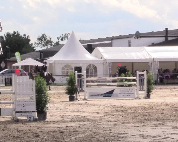 Reitturnier Datteln 2015