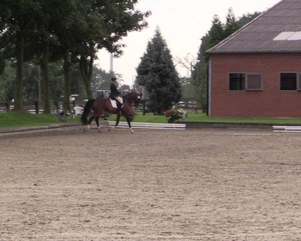 Reitturnier Datteln 2015