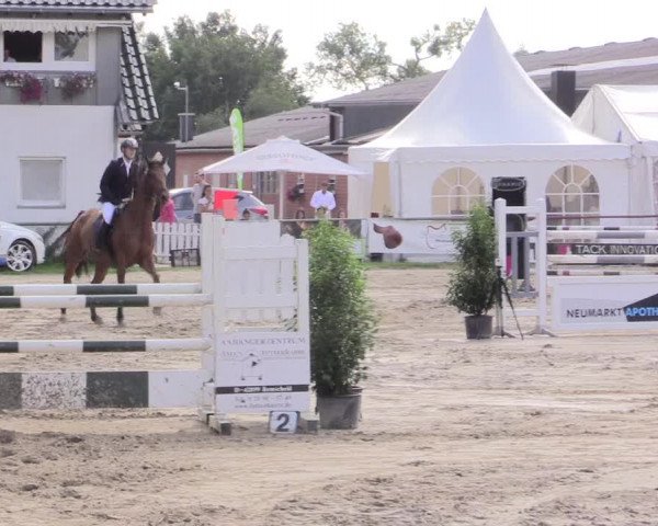 Reitturnier Datteln 2015