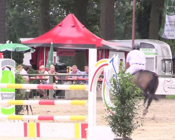 Reitturnier Datteln 2015