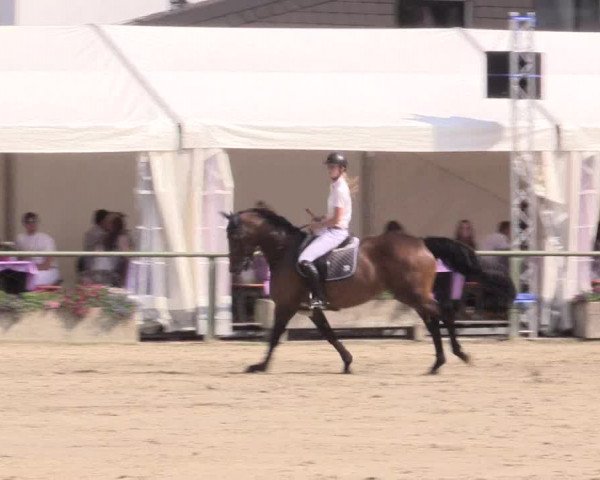 Reitturnier Datteln 2015
