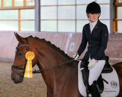 dressage horse Rheinberger (Westphalian, 2008, from Riccio)