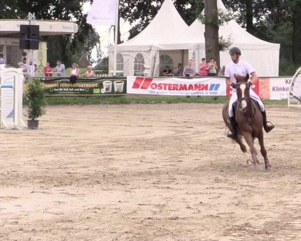 Reitturnier Datteln 2015