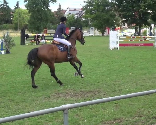 Gültsteiner Springtage 2015