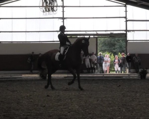 Reitturnier Datteln 2015