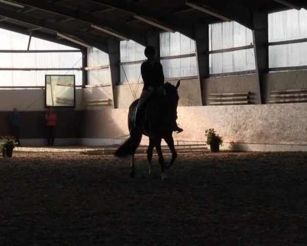 Reitturnier Datteln 2015