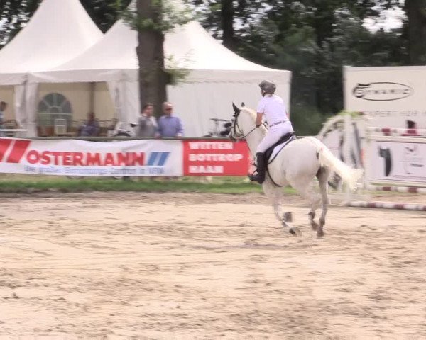 Reitturnier Datteln 2015