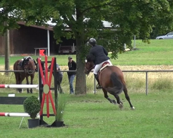 Gültsteiner Springtage 2015