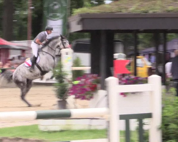 Reitturnier Datteln 2015