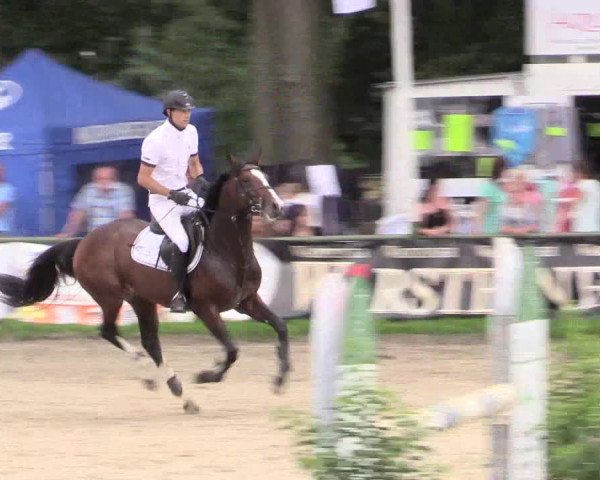Reitturnier Datteln 2015