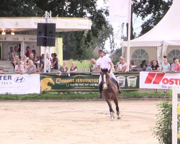 Reitturnier Datteln 2015