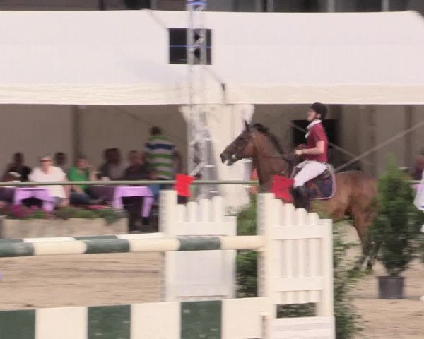 Reitturnier Datteln 2015