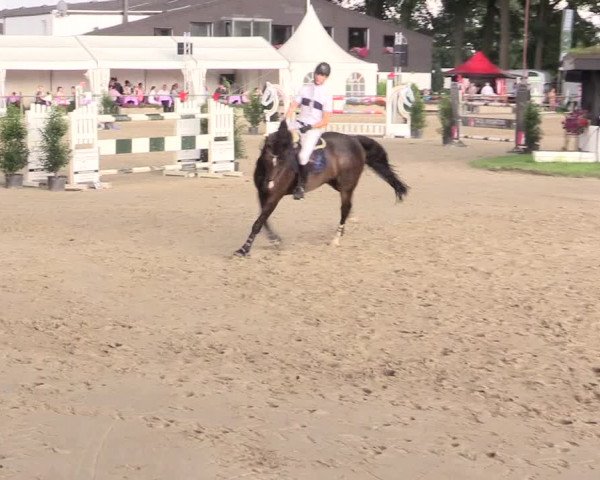 Reitturnier Datteln 2015