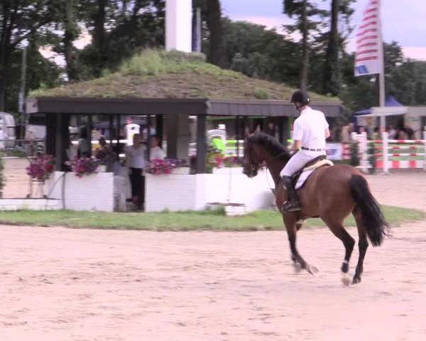 Reitturnier Datteln 2015