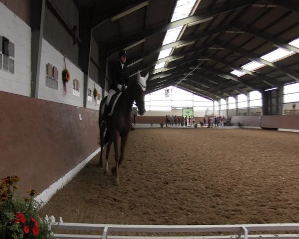 Reitturnier Datteln 2015