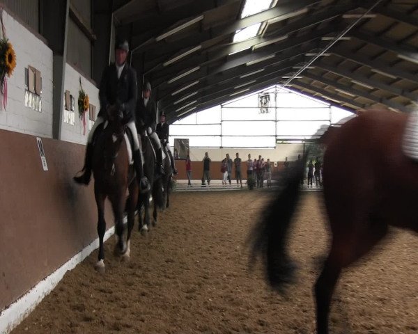 Reitturnier Datteln 2015