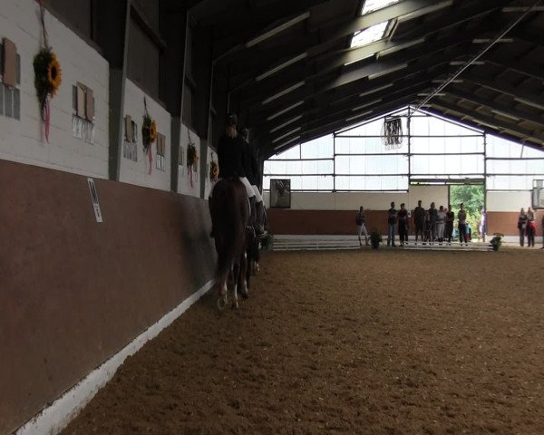 Reitturnier Datteln 2015