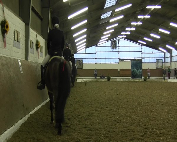 Reitturnier Datteln 2015
