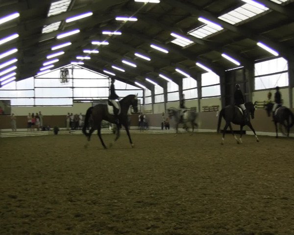 Reitturnier Datteln 2015
