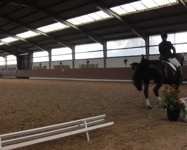 Reitturnier Datteln 2015